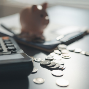 ACTUALIZE SUCESSFUL MONEY MANAGEMENT FOR ATTORNEYS – VIABLE SYSTEM MODEL